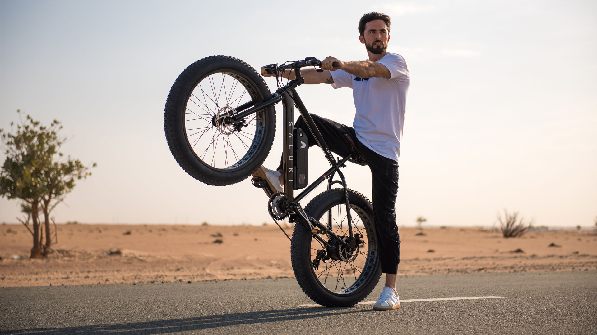 Saluki Electric Bike Dubai UAE